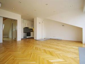 Pronájem bytu 2+kk, Praha - Vinohrady, Slezská, 72 m2