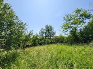 Prodej rodinného domu, Kožušice, 115 m2