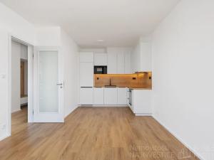 Pronájem bytu 2+kk, Praha - Nusle, Závišova, 54 m2