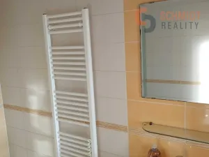 Pronájem bytu 1+kk, Brod nad Dyjí, 34 m2