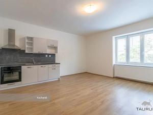 Pronájem bytu 2+kk, Plzeň, Čechova, 55 m2