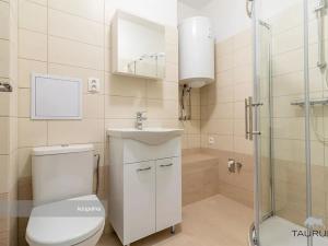 Pronájem bytu 2+kk, Plzeň, Čechova, 55 m2