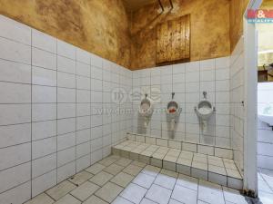 Prodej komerční nemovitosti, Horní Slavkov, Dlouhá, 440 m2