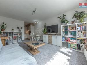 Prodej bytu 2+kk, Mladá Boleslav - Mladá Boleslav II, 17. listopadu, 42 m2