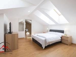 Pronájem bytu 1+kk, Ostrava, Cihelní, 33 m2