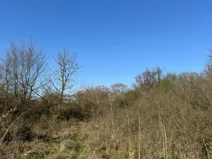 Prodej pozemku, Jevišovice, 7710 m2