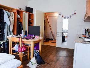Pronájem bytu 1+kk, Brno, Mezírka, 27 m2