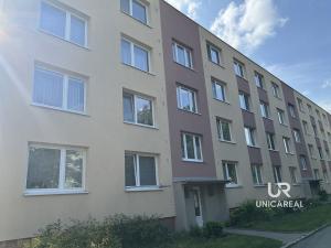Pronájem bytu 1+1, Židlochovice, sídl. Družba, 32 m2