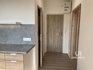 Pronájem bytu 1+1, Židlochovice, sídl. Družba, 32 m2