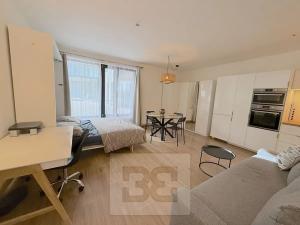 Pronájem bytu 1+kk, Praha - Žižkov, Hartigova, 40 m2
