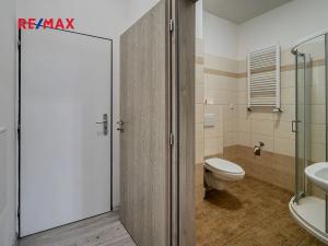 Pronájem bytu 2+kk, Milovice, Slepá, 38 m2