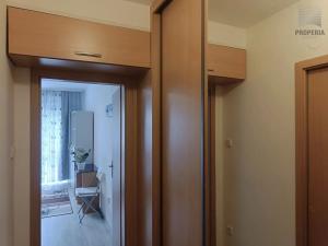 Pronájem bytu 1+kk, Brno, Srbská, 25 m2