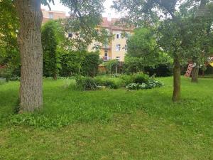 Pronájem bytu 1+kk, Brno, Srbská, 25 m2