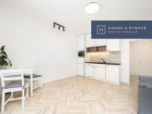 Pronájem bytu 1+kk, Brno, Cejl, 27 m2