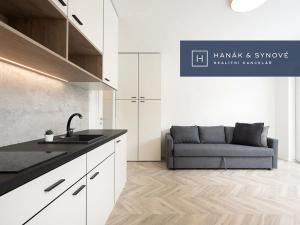 Pronájem bytu 1+kk, Brno, Cejl, 27 m2