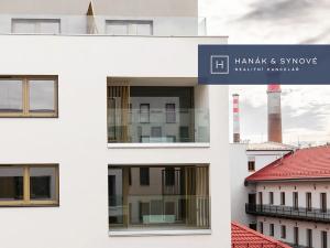 Pronájem bytu 1+kk, Brno, Cejl, 27 m2