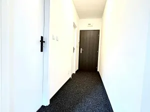 Prodej bytu 2+1, Lovosice, Wolkerova, 52 m2