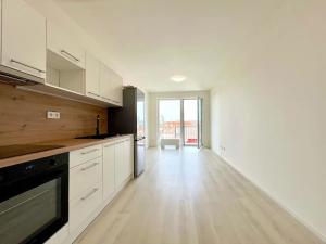 Pronájem bytu 1+kk, Brno, Dornych, 36 m2