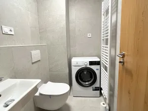 Pronájem bytu 1+kk, Brno, Dornych, 36 m2