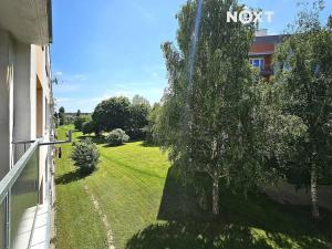 Pronájem bytu 3+1, Přelouč, náměstí 17. listopadu, 81 m2