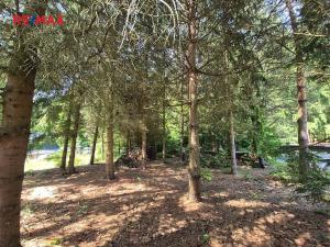 Prodej pozemku pro bydlení, Borušov, 1308 m2