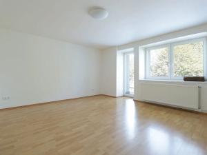 Pronájem rodinného domu, Kamýk nad Vltavou, 550 m2