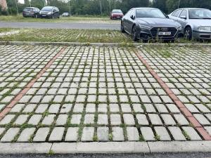 Pronájem bytu 2+kk, Milovice, Slepá, 42 m2