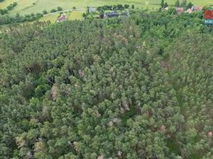Prodej lesa, Chotilsko - Prostřední Lhota, 3372 m2