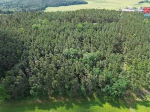 Prodej lesa, Chotilsko - Prostřední Lhota, 3372 m2