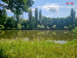 Prodej louky, Hradec Králové - Pražské Předměstí, 1070 m2