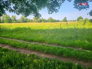 Prodej louky, Hradec Králové - Pražské Předměstí, 1070 m2