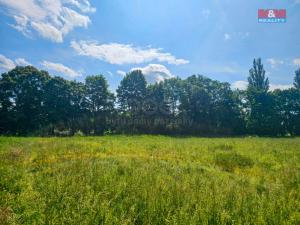 Prodej louky, Hradec Králové - Pražské Předměstí, 1070 m2