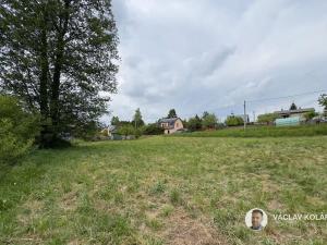 Prodej pozemku pro bydlení, Borovnice, 1050 m2