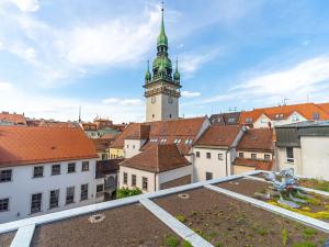 Pronájem bytu 1+1, Brno, Starobrněnská, 44 m2