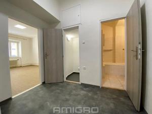 Pronájem bytu 2+1, Brno, Antonínská, 59 m2