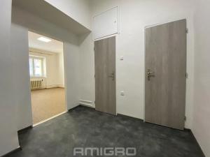 Pronájem bytu 2+1, Brno, Antonínská, 59 m2