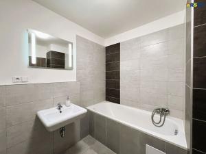 Pronájem bytu 1+1, Hradec Králové, Selicharova, 40 m2
