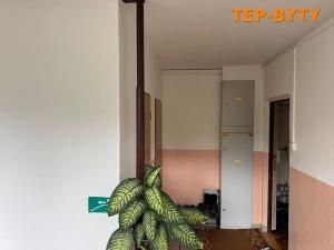 Prodej bytu 4+1, Teplice, Rohová, 90 m2