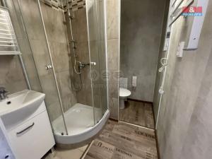 Prodej bytu 1+1, Ústí nad Labem - Střekov, Tolstého, 45 m2