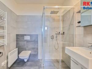 Pronájem bytu 2+kk, Přistoupim, 41 m2