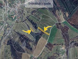 Prodej pole, Ludkovice, 11775 m2