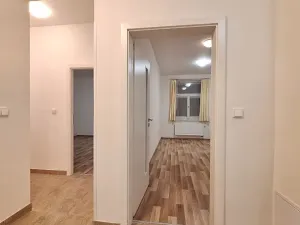 Pronájem bytu 2+1, Praha - Bubeneč, U zeměpisného ústavu, 47 m2