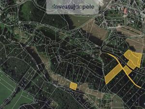 Prodej louky, Koberovy - Vrát, 4446 m2