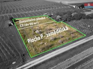 Prodej zahrady, Dobšice, 2462 m2