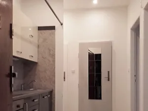 Pronájem bytu 2+kk, Praha - Nusle, Na Pankráci, 43 m2