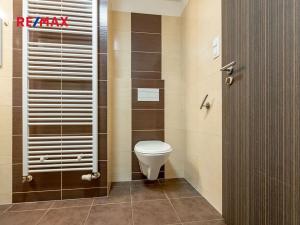 Pronájem bytu 1+kk, Plzeň, Štefánikova, 30 m2