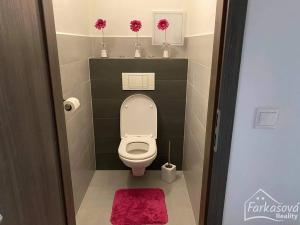 Pronájem bytu 2+kk, Olomouc, Novosadský dvůr, 60 m2