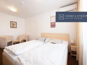 Pronájem bytu 1+1, Brno, Anenská, 26 m2