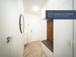 Pronájem bytu 1+kk, Brno, Cejl, 26 m2