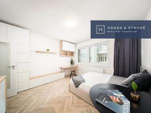 Pronájem bytu 1+kk, Brno, Cejl, 26 m2